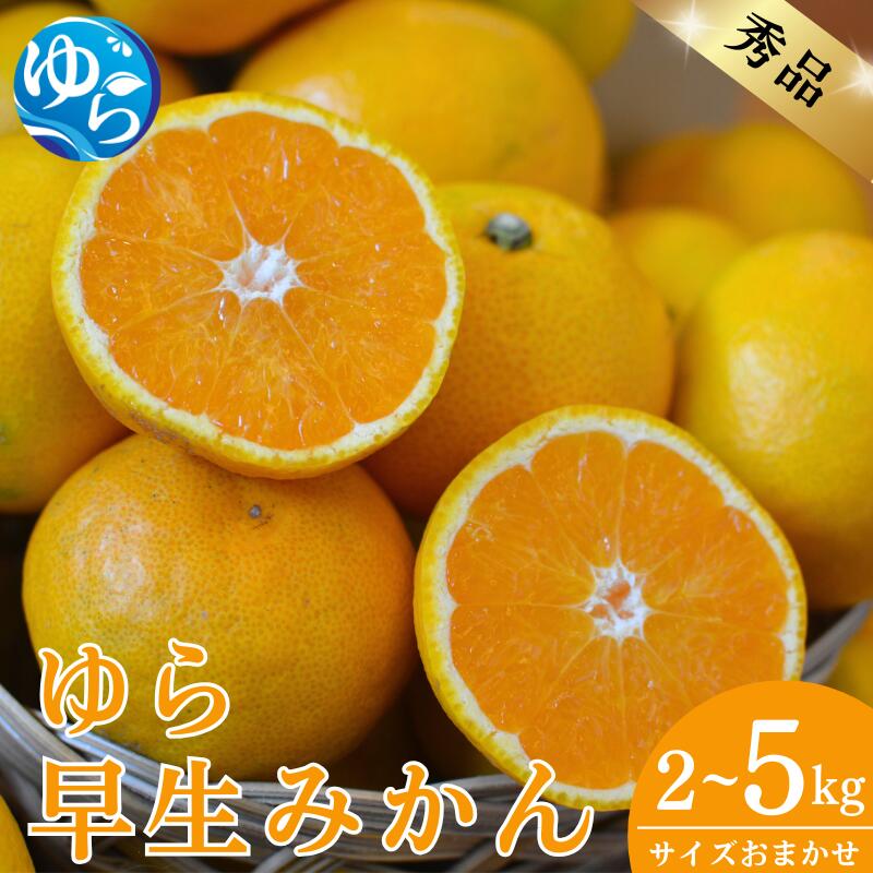 【ふるさと納税】 早生みかん ゆら早生 秀品 / 温州みかん 甘い 和歌山 由良 2kg 5kg サイズおまかせ ※2026年10月中旬頃より11月上旬頃に順次発送予定