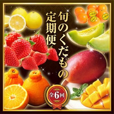 ふるさと納税 宮崎市 【発送月固定定期便】旬の贅沢くだもの定期便(宮崎市)全6回