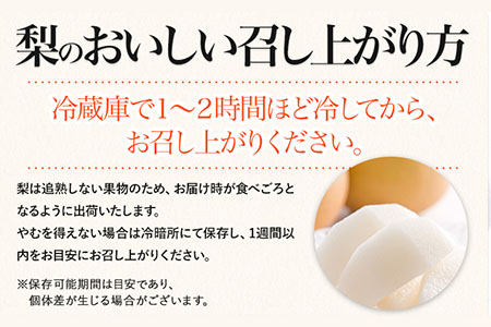 梨 完熟梨 ( あきづき 新高梨 新興梨 のいずれか) フルーツ 果物 旬 期間限定 梨 約4.5~5kg (8～18玉) 熊本県長洲町産 《9月上旬-12月中旬頃出荷》大渕観光梨園 
