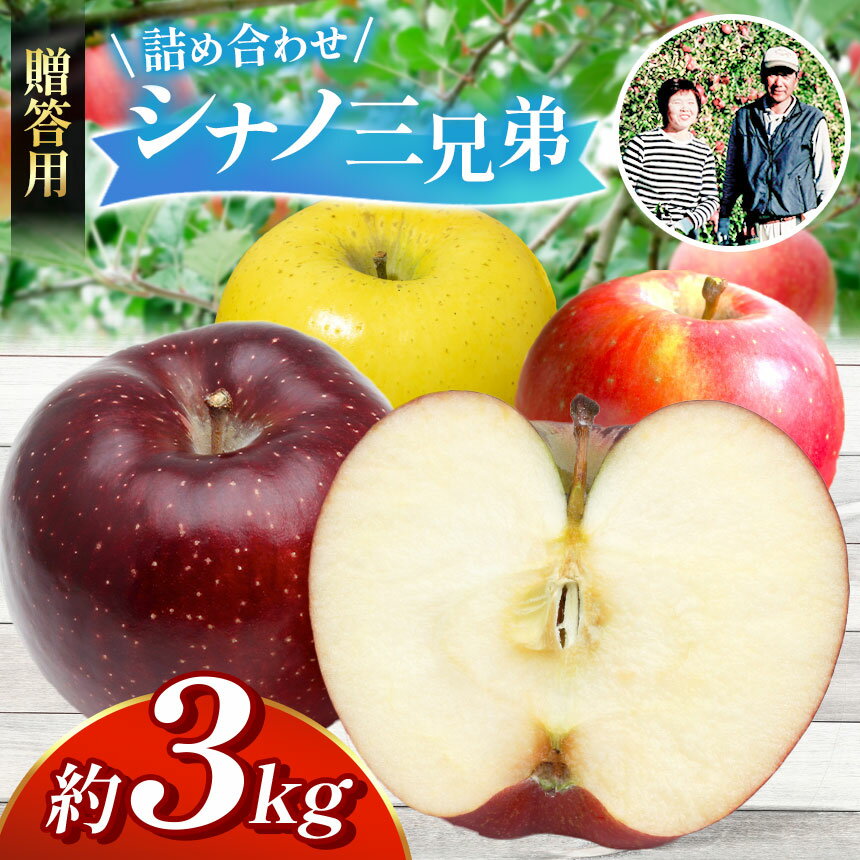 【ふるさと納税】【贈答用】シナノ三兄弟　詰め合わせ　3kg | ふるさと納税 長野県 松本市 林檎 りんご リンゴ 信州産 シナノスイート シナノゴールド 贈答用 甘い 贈り物 季節限定 詰め合わせ
