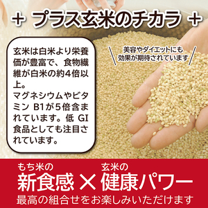SB0403　もち米 玄米おにぎり プレーン40個