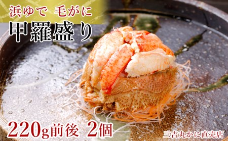 【浜ゆで】北海道産毛ガニ甲羅盛り2個（220g前後2個） AS191