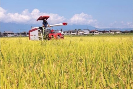 【令和8年】先行予約　近江米『きらみずき』　化学肥料不使用米　5キロ（鮮度保持袋）