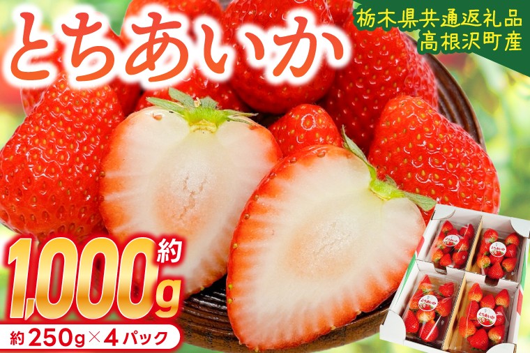 
                  【順次発送】 栃木県産 とちあいか 合計1,000g (250g以上×4パック) 農家直送 家庭用 和饗エコファーム 【栃木県共通返礼品/高根沢町産】｜ 栃木県 ふるさと納税 いちご イチゴ 苺 果物 フルーツ とちあいか 熟成 (DW001)
                
