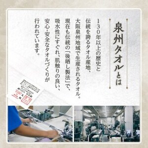 【ホテルタイプ】ワイドバスタオル 3枚 ベージュ 020C389【1725432】