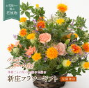 【ふるさと納税】【定期発送】新庄フラワーギフト 花 定期便 贈り物 ギフト プレゼント お祝い 山形県 新庄市 F3S-0888