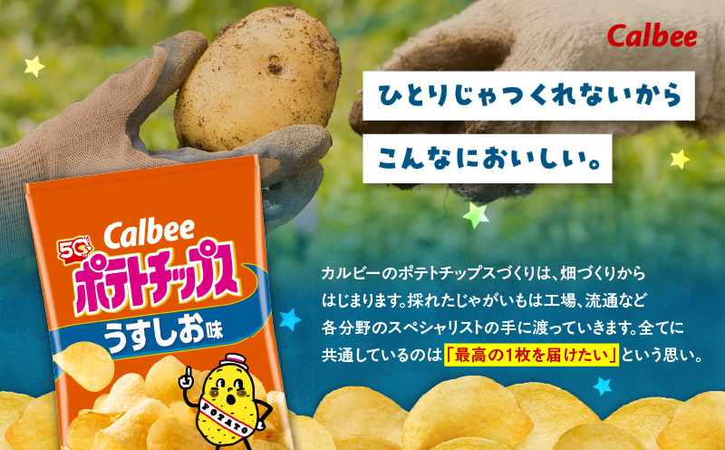 カルビー ポテトチップス【うすしお】16袋　K194-002_03