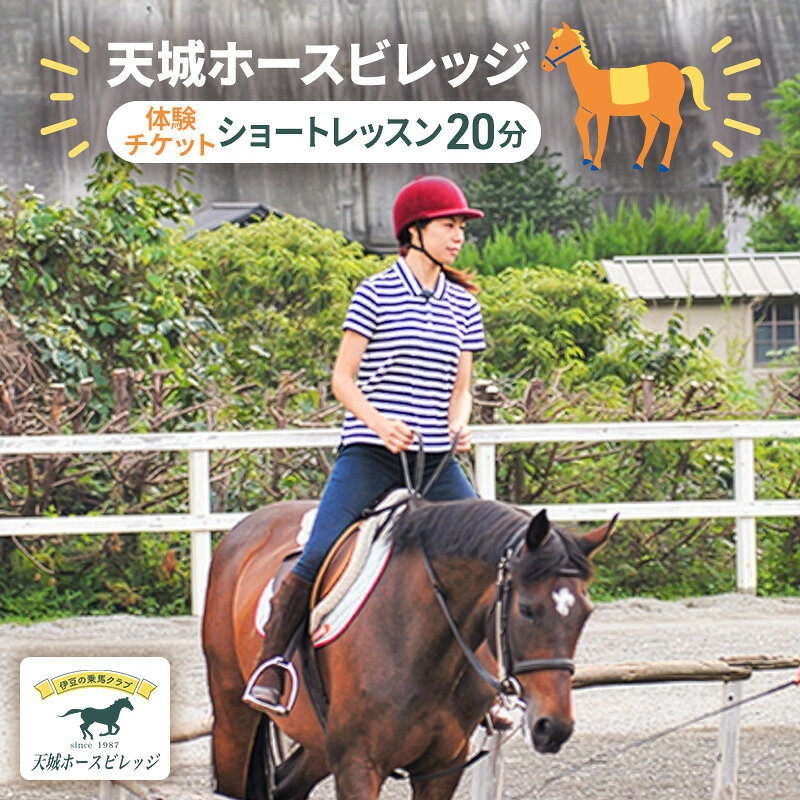 【ふるさと納税】体験チケット 施設利用券 ショートレッスン20分 初心者向け 天城ホースビレッジ 乗馬クラブ 静岡県河津町