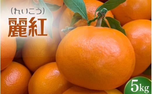 ＼先行予約／ れいこう 麗紅 5kg （2027年2月以降順次発送予定） / みかん 柑橘 珍しい ミカン 柑橘 フルーツ 果物 紀州産 和歌山県 田辺市【tcs028】