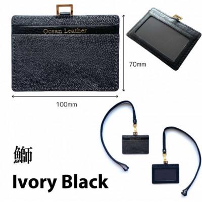 ふるさと納税 香美市 Ocean Leather IDパスケース【ブリ/Ivory Black】
