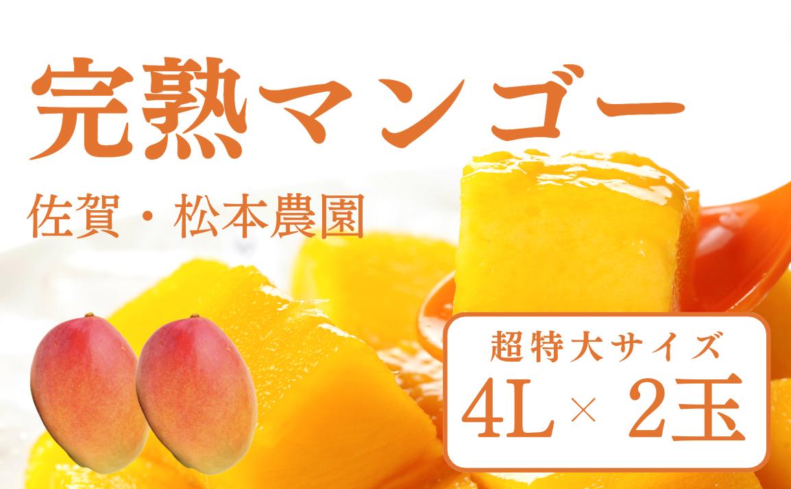 
【5月下旬まで受付】＼4Lサイズを2玉お届け／佐賀産・濃厚完熟マンゴー（5月中旬頃から6月初旬にかけて順次発送予定）
