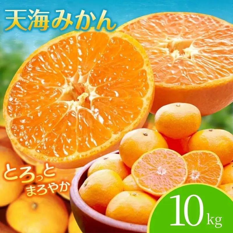 【先行予約】完熟早生みかん　宮川早生１０kg※2026年12月から順次発送予定※ 【期間限定・12/20まで受付】/ 和歌山県 ミカン フルーツ 果物 柑橘 田辺市 【nak007-1】