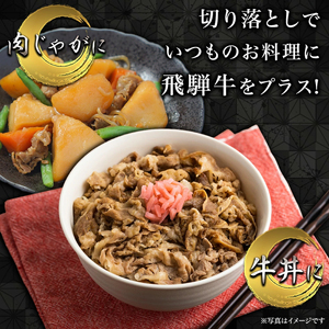 飛騨牛切り落とし　1kg（250ｇ×4P）