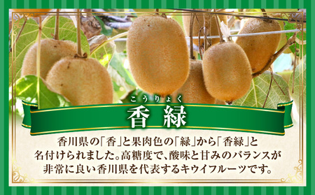 キウイ　美しい緑が鮮やかな　香緑 約750g | 果物 フルーツ 香緑 こうりょく キウイ グリーン フレッシュ ジューシー 香り 爽やか 旬の果物 人気 おすすめ 贈答 贈り物 青果物 糖度 香川県