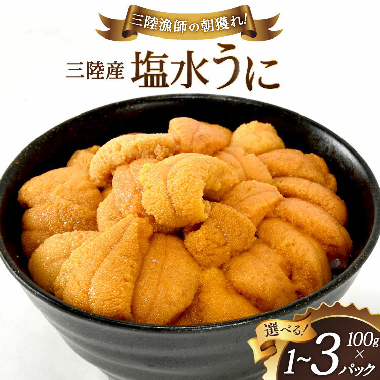 【ふるさと納税】 【期間限定発送】三陸産 塩水うに 【選べる内容量】 [村東商店 宮城県 気仙沼市 20565764] 魚介 海鮮 三陸 うに ウニ 塩水ウニ 雲丹 三陸産 冷蔵 期間限定 数量限定 100g 1p 2p 3p