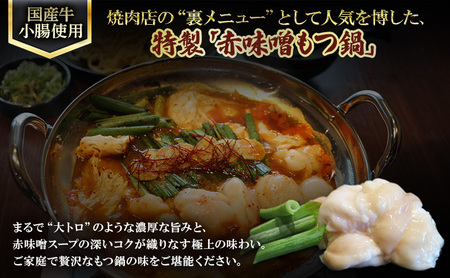 国産もつ鍋 赤味噌　10～15人前　300g×5 牛肉 国産牛 牛ホルモン モツ 鍋 冷凍 京都