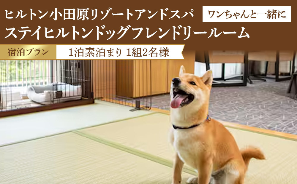 ワンちゃんと一緒にステイヒルトンドッグフレンドリールーム素泊まり（平日）【オーシャンビュー フィットネス 天然温泉大浴場 バーデゾーン 朝食ビュッフェ 都心から１時間のリゾート ヒルトン 神奈川県 小田原市 】 142069_BG007