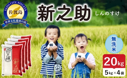 令和8年産 佐渡島産 新之助 無洗米20kg | 新潟県産新之助 新潟産新之助 佐渡産新之助 新之助 お米 米 無洗米 むせんまい おこめ コメ 20キロ にいがた さど 新潟県 佐渡市