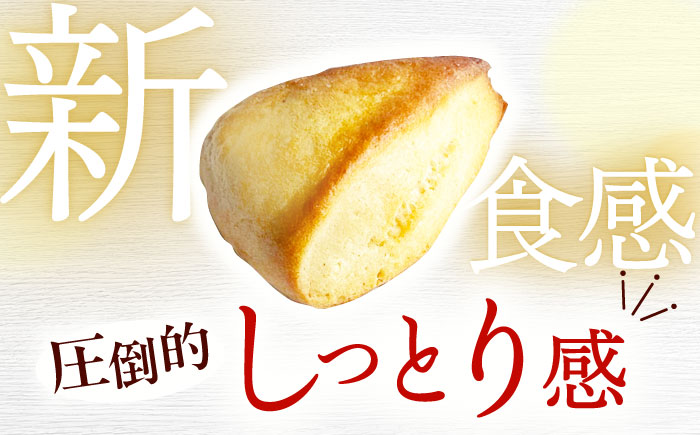 【全12回定期便】【卵不使用！】生スコーン プレーン・極上焼塩 2種10個セット [QBZ008]