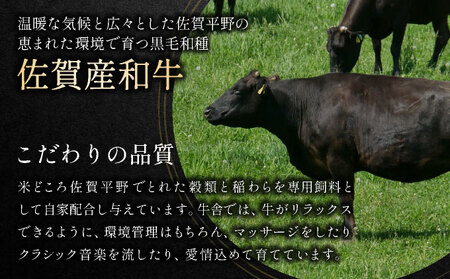 訳アリ！艶さし！佐賀産和牛切り落とし　600ｇ