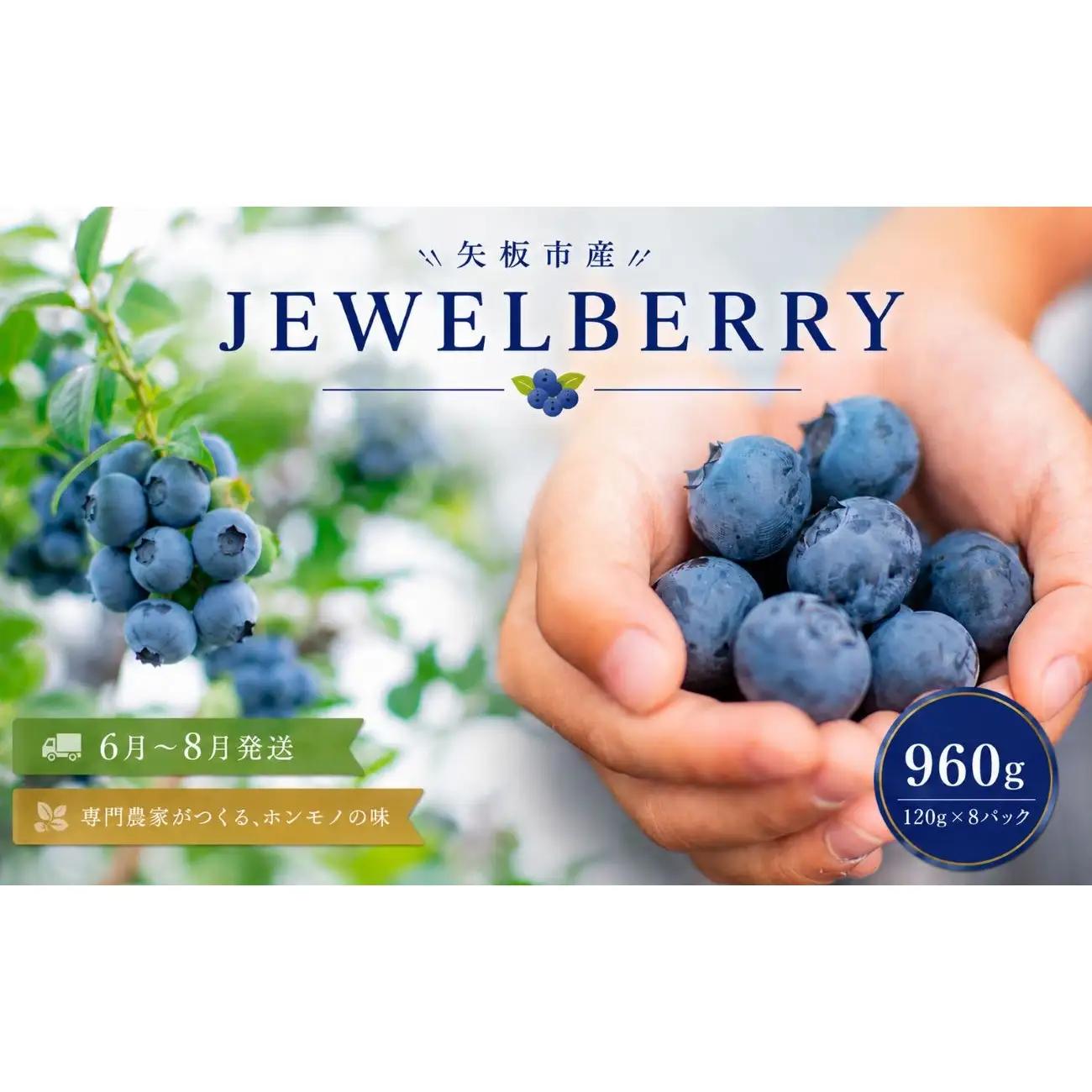 矢板市産 完熟 ブルーベリー　[JEWELBERRY] 960g（120g×8パック） 【2026年6月～8月発送】 栃木県 矢板市