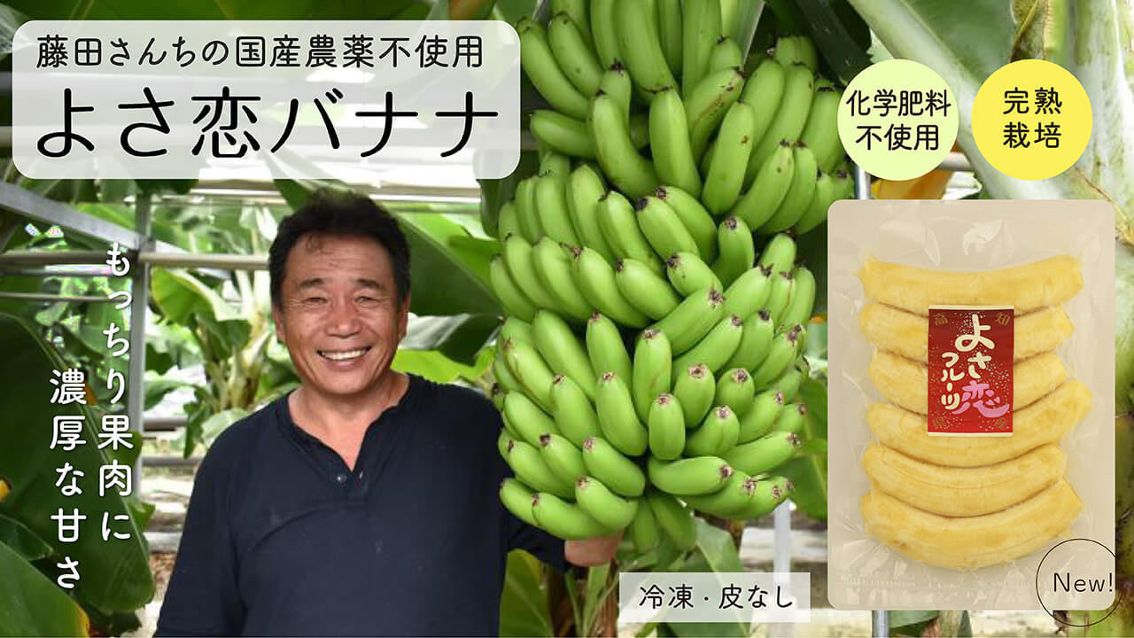 
無農薬 冷凍 バナナ パック 800g 国産 藤田さんちの無農薬バナナ 化学肥料不使用 高知県 須崎市
