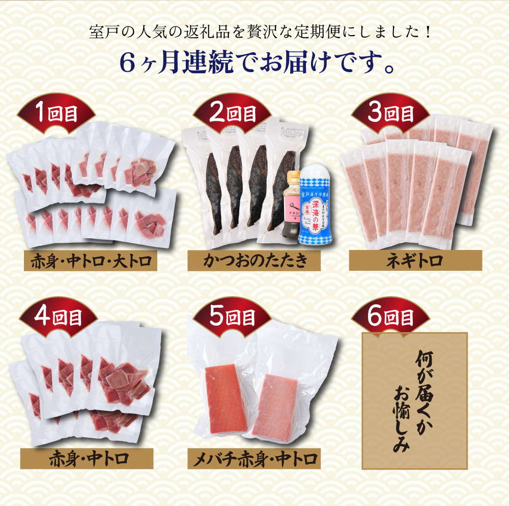 ＼贅沢定期便 ≪ 力 ≫／ 全6回【厳選 高知の海鮮セット】本まぐろ かつおのたたき ネギトロ 魚 魚介 海鮮 福袋 定期便 詰め合わせ 食べ比べ