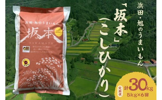 【定期便】【令和6年産】浜田・旭のうまいもん「坂本」（こしひかり）5kg×6回 【1006】