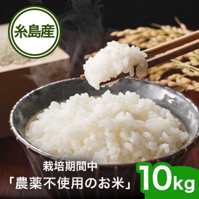 ふるさと納税 糸島市 栽培期間中 農薬不使用のお米 ヒノヒカリ 10kg 糸島市 シーブ [AHC007]