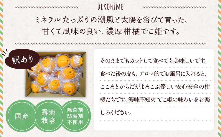【先行予約】  訳あり 不知火 でこ姫 約5kg（約18〜25玉）【吉田レモニー】【2026年2月中旬〜2026年5月下旬発送】オレンジ ミカン わけあり 傷 キズ 甘い 家庭用 自宅用 蜜柑 濃厚 
