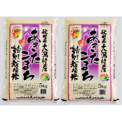 先行受付【令和4年産】大潟村産あきたこまち特別栽培米10kg(5kg×2) 大潟村CE公社　【配送不可地域：離島・沖縄県】