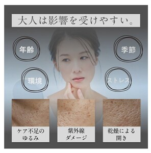 「Liposome Vitamin - 5C」高濃度リポソーム ビタミンC パウダー サプリメント（約30日分・個包装スティック）リポソームビタミンCを含む5種類の高濃度ビタミンC・合成保存料フリー・