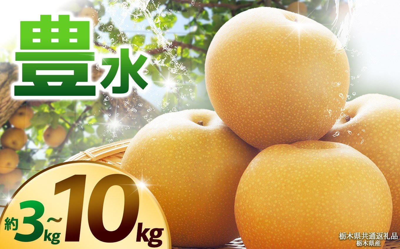 
            【栃木県共通返礼品】【2025年先行予約】【選べるグラム数】【選べる発送時期】豊水 約3kg 5kg 10kg | 梨 なし ナシ 新品種 先行予約 大粒 新鮮 甘い 美味しい 果物 くだもの フルーツ ふるーつ 共通返礼品 フルーツ デザート 栃木県 那珂川町
          