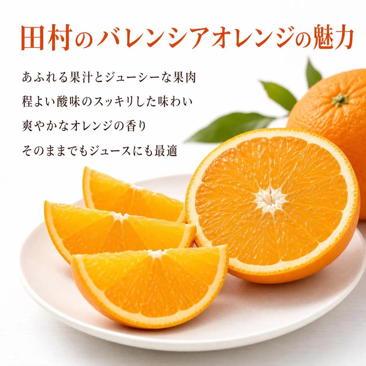 秀品　田村のバレンシアオレンジ　約7kg【2027年6月下旬頃～7月上旬頃順次発送予定】/ みかん くだもの フルーツ 【uot872】 