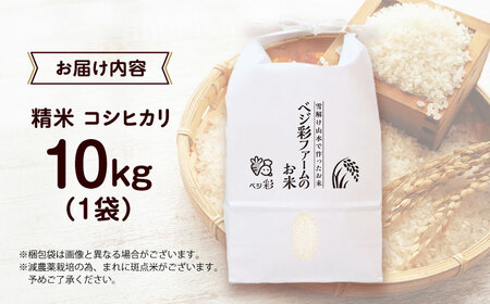 ＼スピード発送／お米 10キロ ベジ彩ファーム[AOEJ013] お米 お米 お米 お米 お米