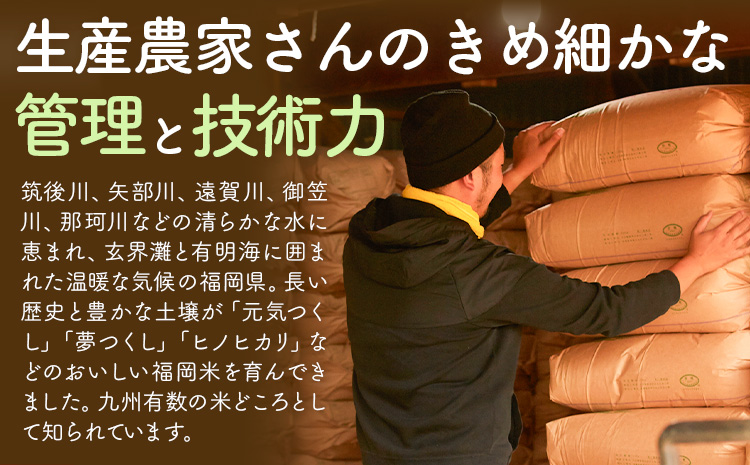 【12ヶ月定期便】米 かぐやのほほえみ 10kg 白米 《お申込みの翌月から出荷開始》 福岡県 小竹町 お米 ブレンド米 国産---ktk_khhtei_219500_10kg_mo12---