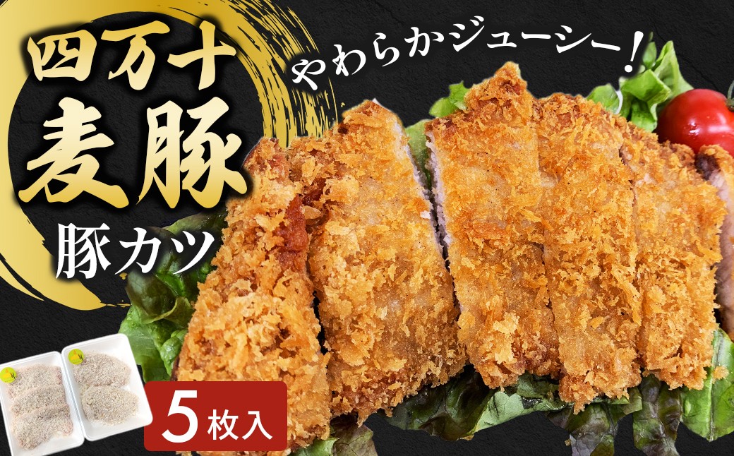 
                  四万十麦豚 豚カツ （約100g×5枚）平野協同畜産 豚肉 麦豚 四万十麦豚 ブランド豚 トンカツ 豚カツ 冷凍カツ 豚ロース 背ロース Ahc-A17
                