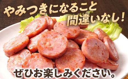 やみつきポークソー 2kg（10本） ボロニア ボロニアソーセージ 豚肉 ポークソーセージ にんにく 黒胡椒 おやつ ごはん おかず お酒 おつまみ 福岡県 福岡 九州 グルメ お取り寄せ