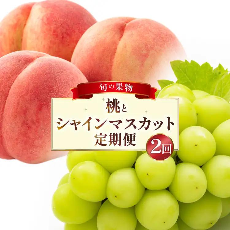 フルーツ 定期便 2回 山梨 旬な果物 人気の2種セット 桃 2.2kg(6?10玉) シャインマスカット 1.2kg(2房) [斎庵 山梨県 韮崎市 20743912]