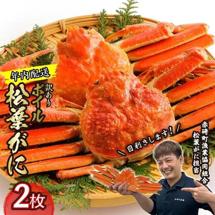 先行予約 訳あり 松葉ガニ ボイル 2枚 年内配送 カニ