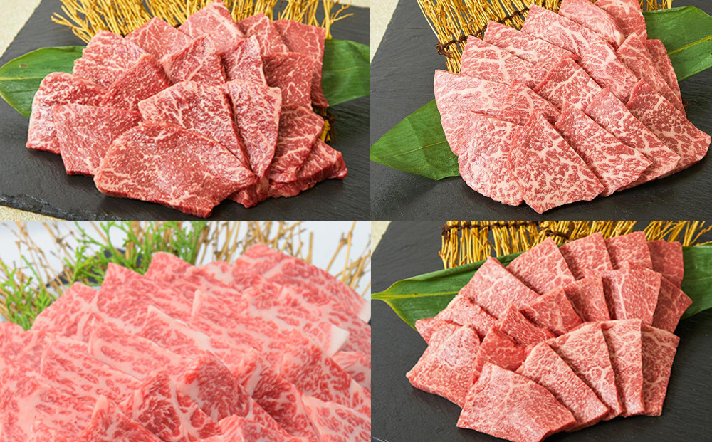 
            【定期便】佐賀牛希少部位赤身焼肉用500g（冷蔵）【6ヶ月定期便】
          