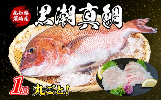 高知県 須崎市産 養殖真鯛  まるごと 1尾 スキンレス フィーレ ロイン 真鯛 マダイ 鯛 刺身 さしみ お刺身用 柵 丸ごと 半身 皮なし 下処理済み 鯛しゃぶ 鯛めし 鯛茶漬け カルパッチョ 塩焼き 煮付け 海鮮 魚介類 片身 ギフト 三枚おろし 産地直送