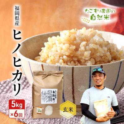 ふるさと納税 小郡市 定期便 6ヶ月 米 たごもり農園の自然米 ヒノヒカリ 玄米 5kg お米[No5354-2136]