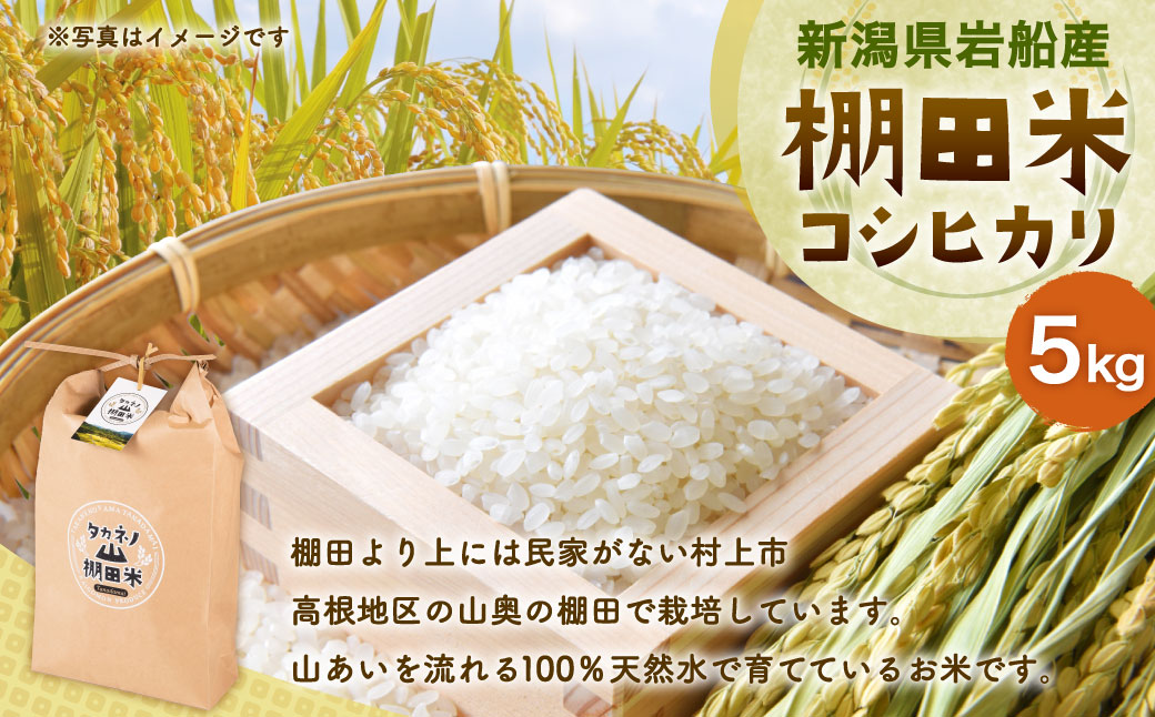 【令和7年産米】新潟県村上市 岩船産  棚田米 コシヒカリ 5kg　A4038