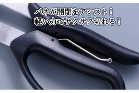 H9-103 ALLEX スーパーハードはさみ【波板用】一枚刃はさみ（SH-3 17213）