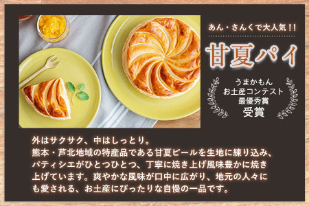パティシエおまかせ甘夏パイと手作りお菓子セット お菓子の国 あん・さんく《30日以内に順次出荷(土日祝除く)》熊本県 葦北郡 津奈木町 クッキー マドレーヌ ラスク パウンドケーキ 贈り物 のし対応 