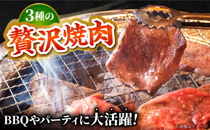 【2度の農林水産大臣賞】佐賀牛 焼肉 盛り合わせ 1.0kg（霜降り・赤身 各500g）【田中畜産牛肉店】 [HBH062]