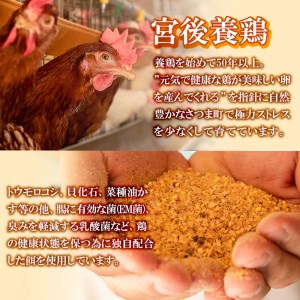 s413 産地直送！さつま町の豊かな自然の中で育った宮後の健康卵！(Mサイズ・計50個)【宮後養鶏】