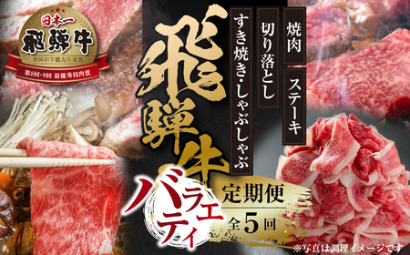 《定期便》全5回 飛騨牛 バラエティ 飛騨高山ミート 飛騨牛 [MZ104]