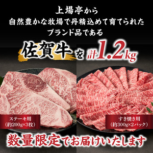 佐賀牛 山の幸ギフトセット 計1.2kg｜佐賀牛 佐賀牛 佐賀牛 佐賀牛 佐賀牛【E001】